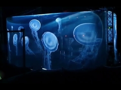 Transparent Hologram Screen for Live Holographic Projection