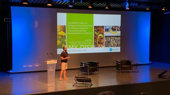 品質 350inchリモート・コントロールRFの大きいモーターを備えられた映写幕 工場